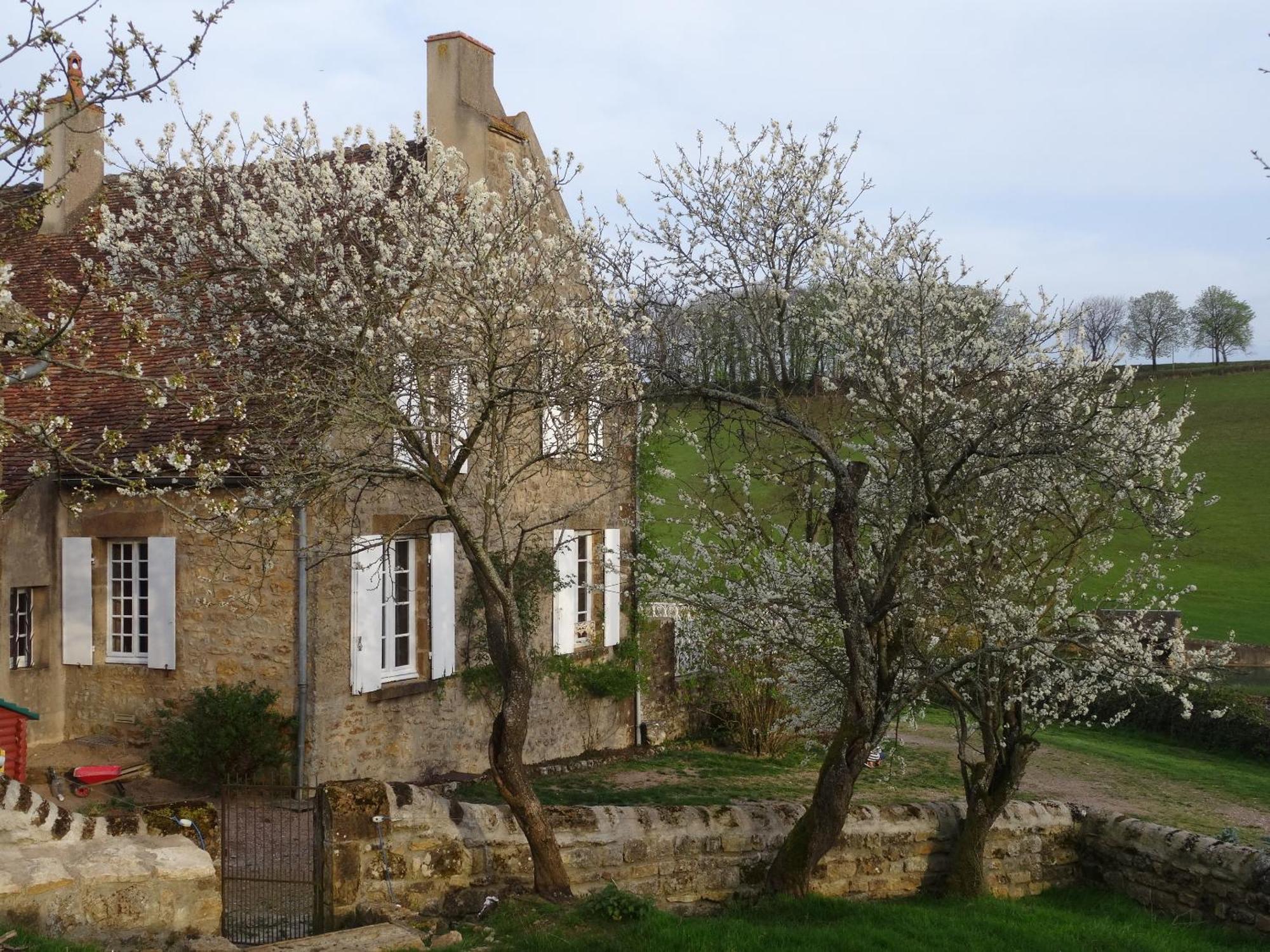 Domaine De Dremont Bed & Breakfast Anthien Екстериор снимка