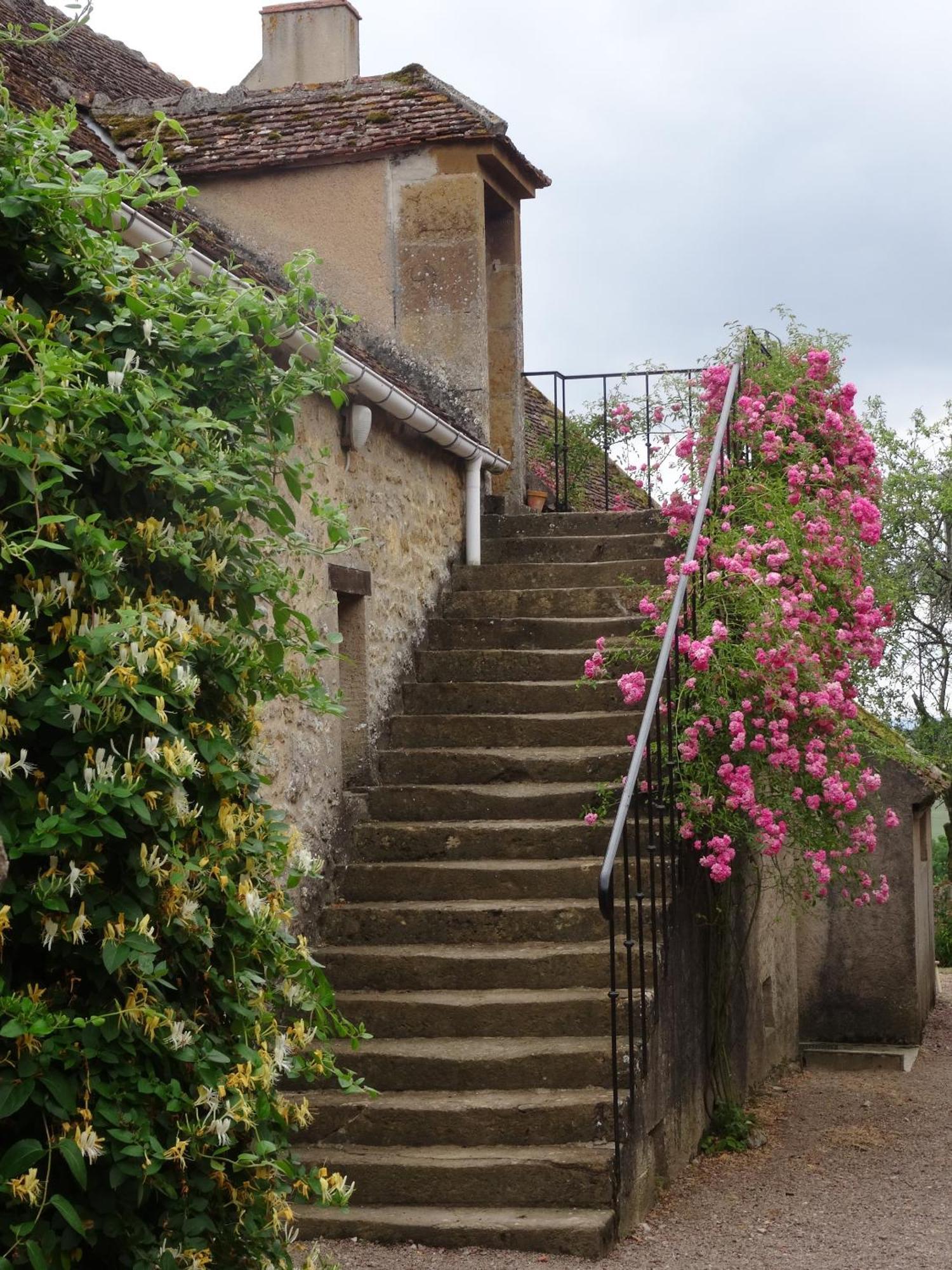 Domaine De Dremont Bed & Breakfast Anthien Екстериор снимка