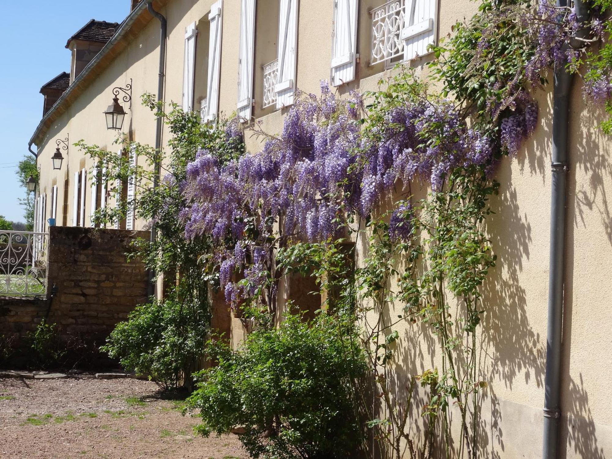 Domaine De Dremont Bed & Breakfast Anthien Екстериор снимка