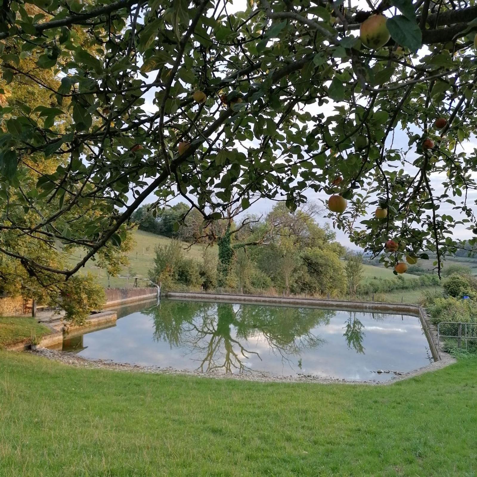 Domaine De Dremont Bed & Breakfast Anthien Екстериор снимка